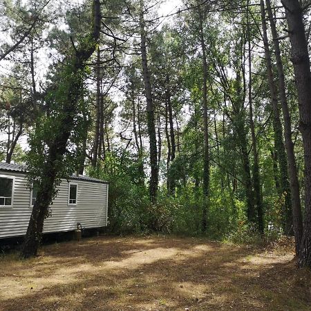 Le Ilo - Camping La Dune Blanche Camiers Kültér fotó